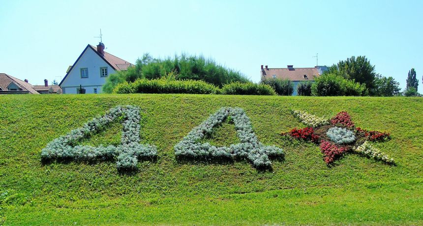cvjetnjaci 5 cvjetnjaci 5