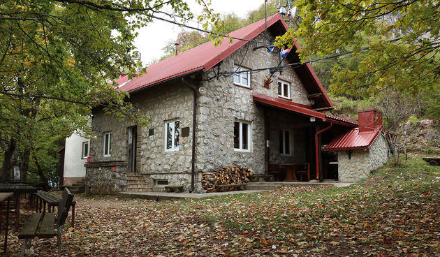 Image 5105564 (auto)