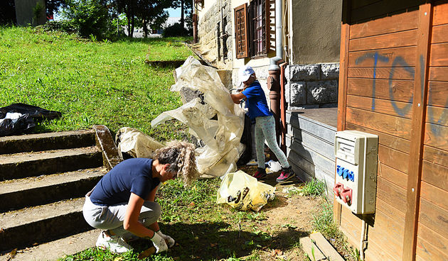 Image 6028303 (auto)