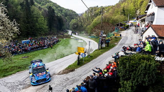 Image 5665877 (auto)