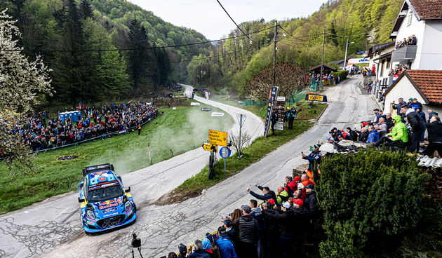 Image 5665877 (auto)