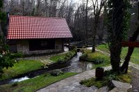 Bistrica Cottage (1)