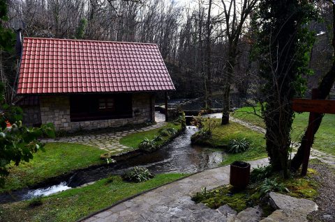 Bistrica Cottage (1)