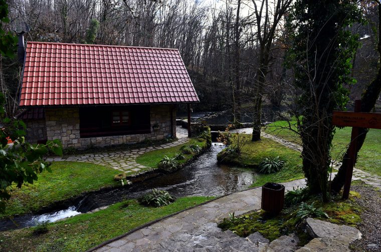 Bistrica Cottage (1)