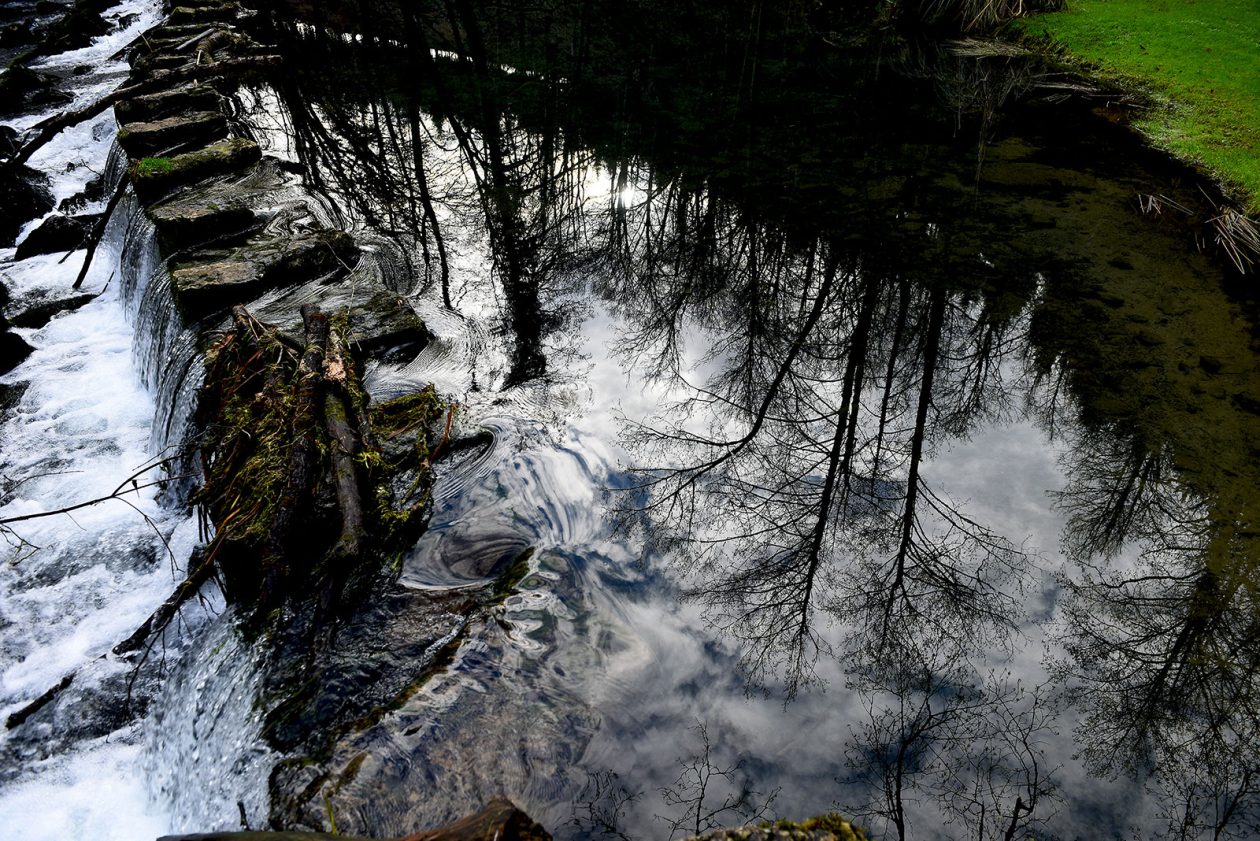 Bistrica Cottage (10)