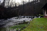 Bistrica Cottage (12)