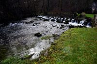 Bistrica Cottage (15)