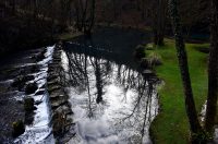 Bistrica Cottage (30)