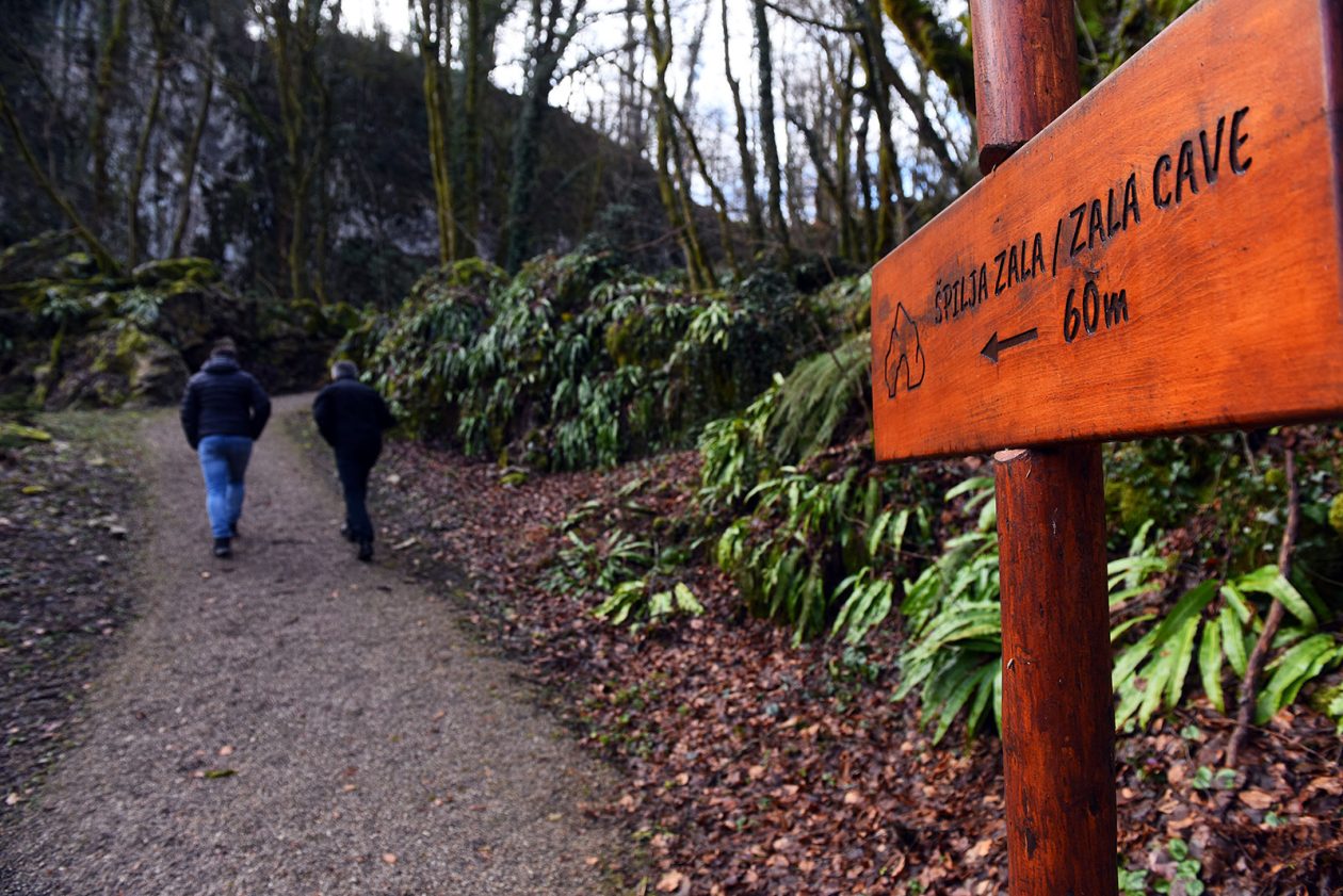 Bistrica Cottage (41)