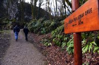 Bistrica Cottage (41)