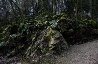 Bistrica Cottage (42)