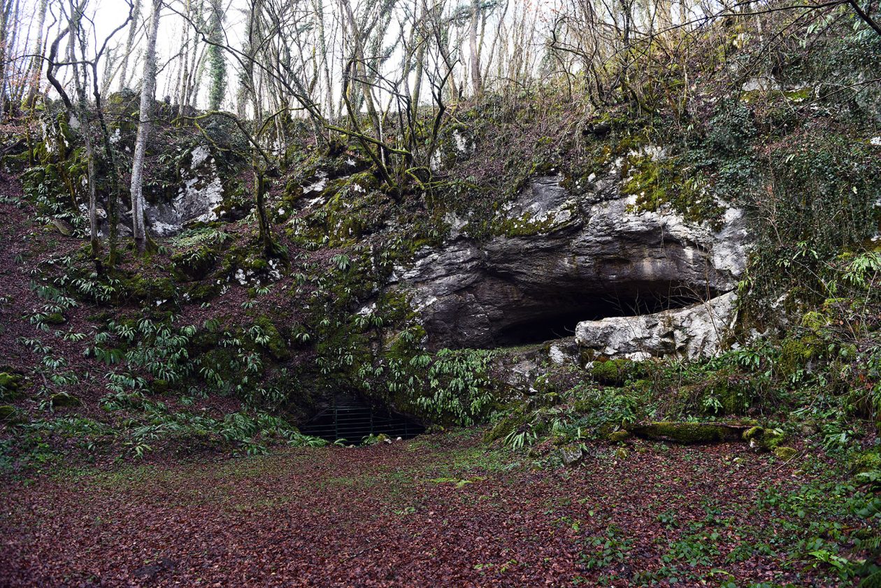 Bistrica Cottage (43)