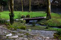 Bistrica Cottage (45)