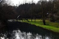 Bistrica Cottage (47)