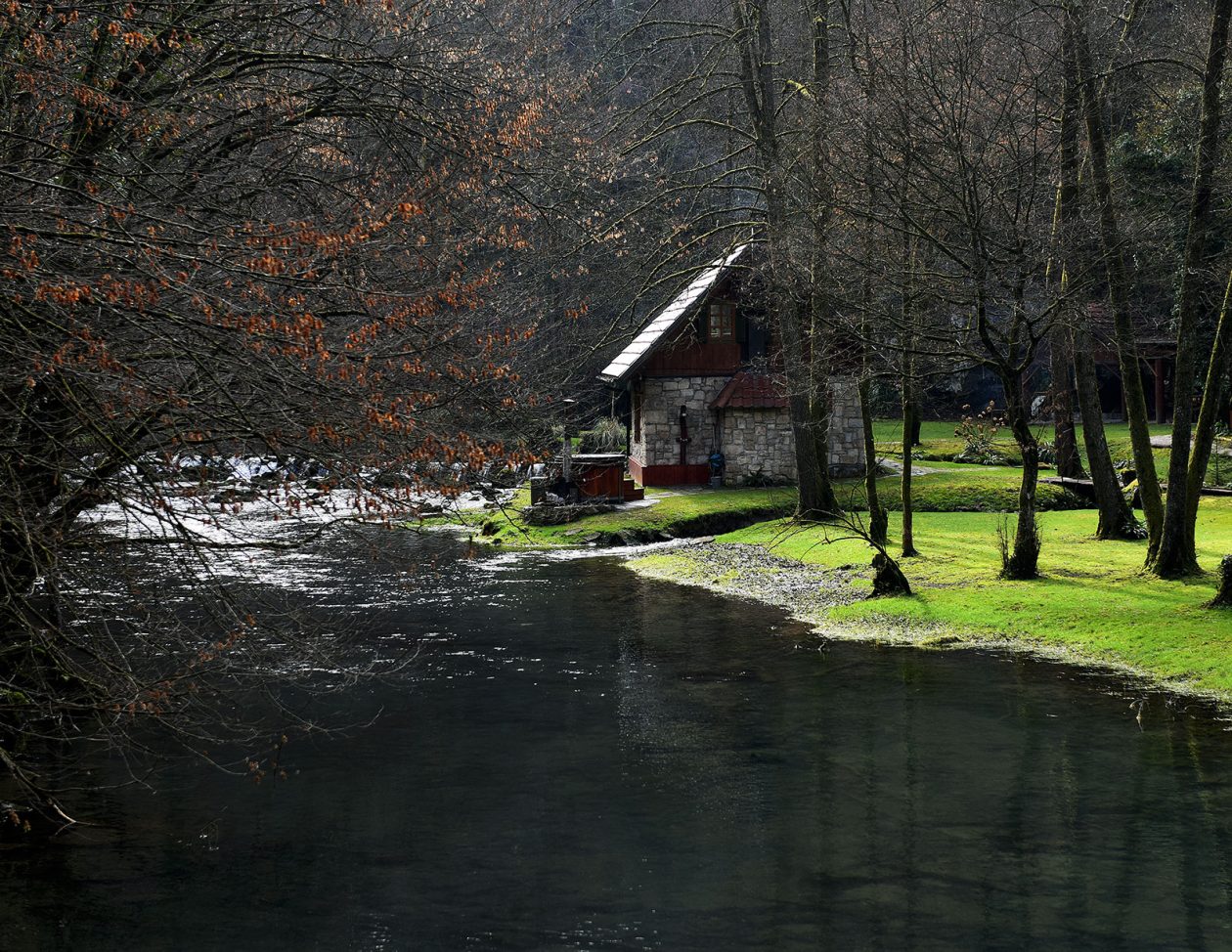 Bistrica Cottage (48)