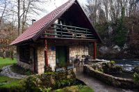 Bistrica Cottage (5)