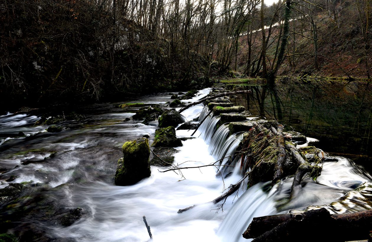 Bistrica Cottage (8)