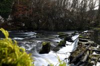 Bistrica Cottage (9)