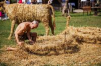 Bogat program Štrudlafesta