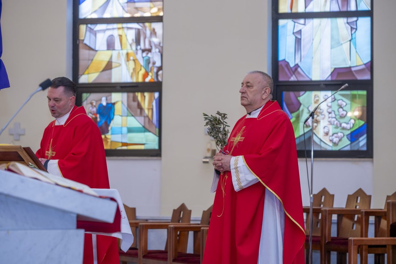 Cvjetnica 2903 (10) Cvjetnica 2903 (10)