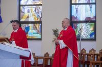 Cvjetnica 2903 (10) Cvjetnica 2903 (10)