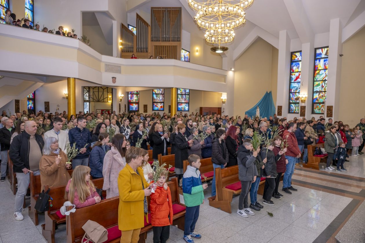 Cvjetnica 2903 (11) Cvjetnica 2903 (11)