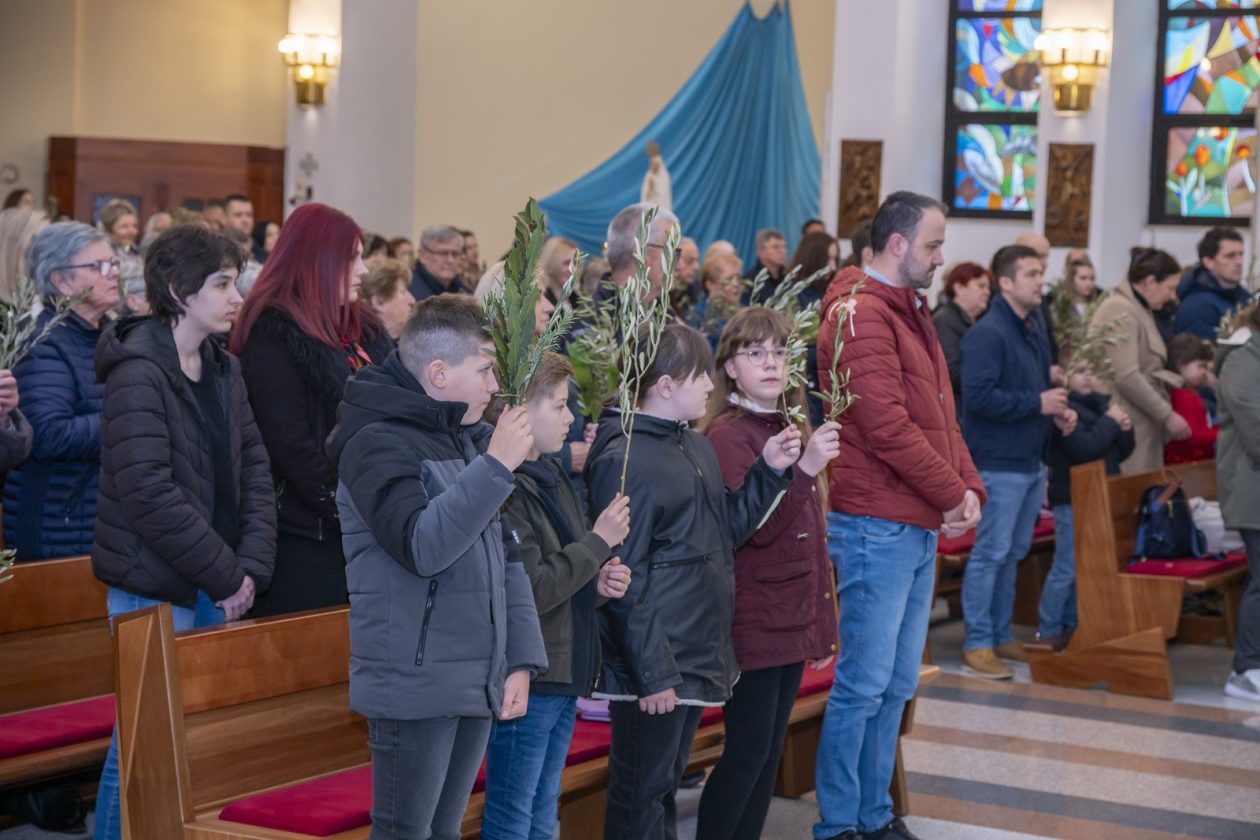 Cvjetnica 2903 (12) Cvjetnica 2903 (12)