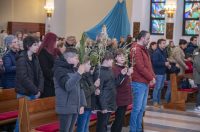 Cvjetnica 2903 (12) Cvjetnica 2903 (12)