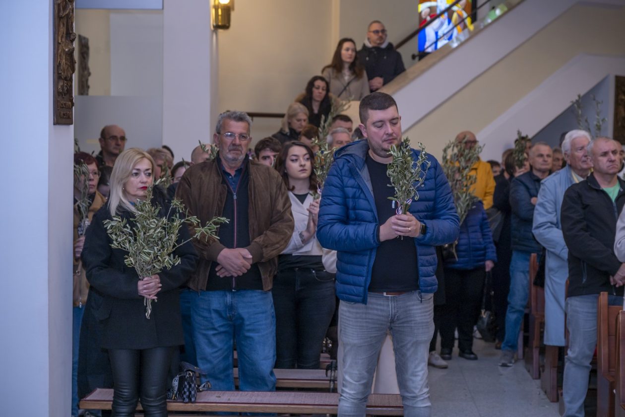 Cvjetnica 2903 (13) Cvjetnica 2903 (13)