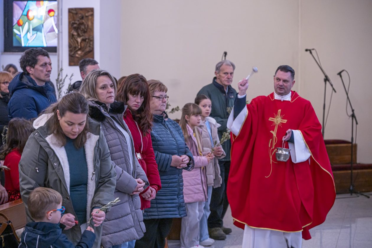 Cvjetnica 2903 (14) Cvjetnica 2903 (14)