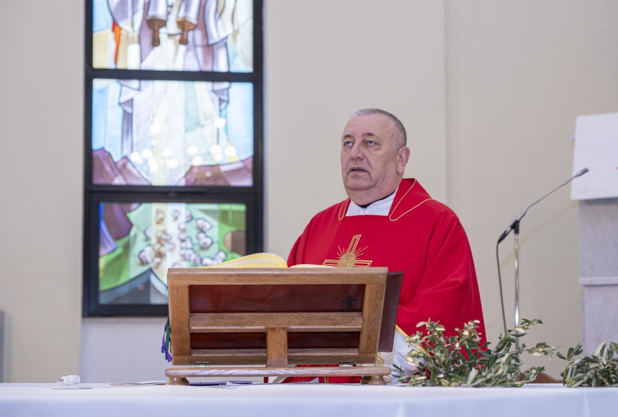 Cvjetnica 2903 (16) Cvjetnica 2903 (16)