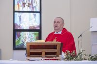 Cvjetnica 2903 (16) Cvjetnica 2903 (16)