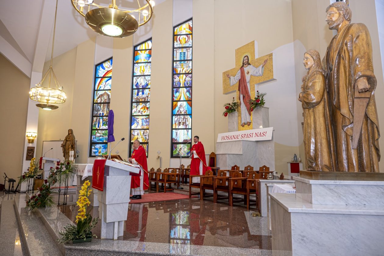 Cvjetnica 2903 (17) Cvjetnica 2903 (17)