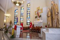 Cvjetnica 2903 (17) Cvjetnica 2903 (17)