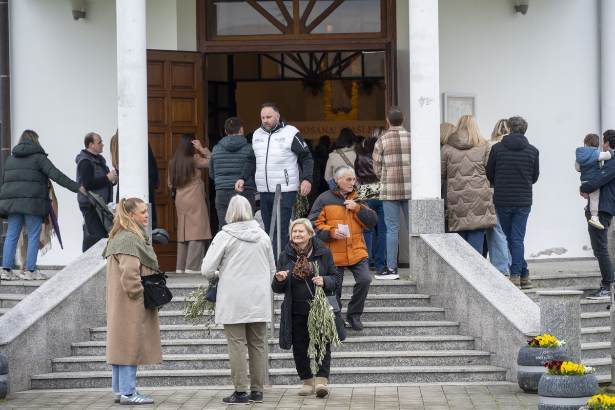 Cvjetnica 2903 (19) Cvjetnica 2903 (19)