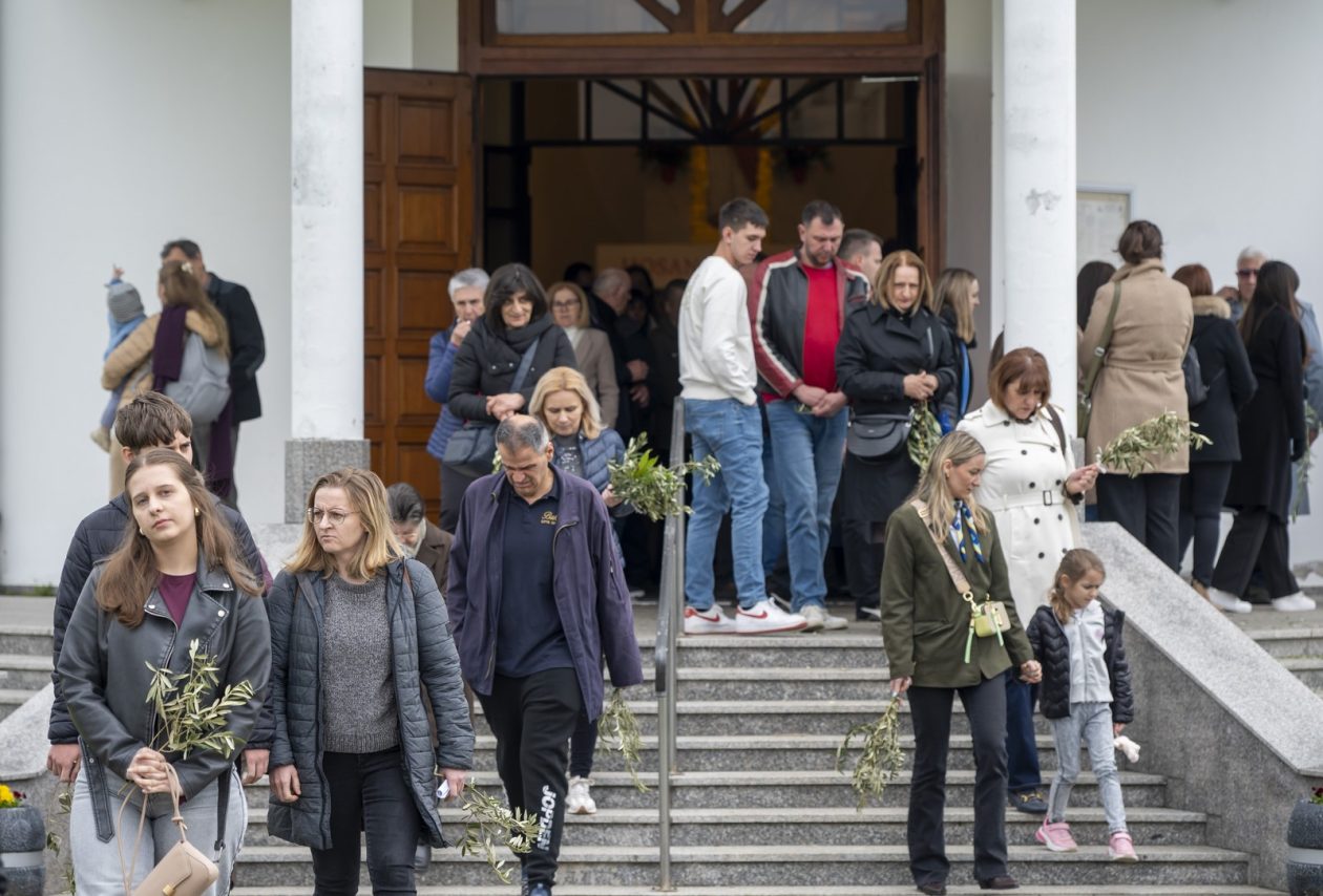 Cvjetnica 2903 (20) Cvjetnica 2903 (20)