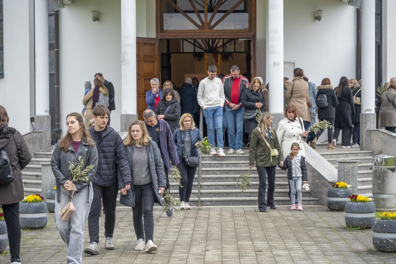 Cvjetnica 2903 (21) Cvjetnica 2903 (21)