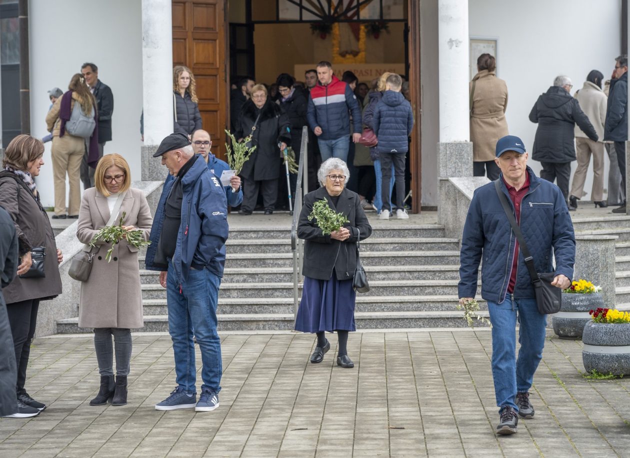 Cvjetnica 2903 (24) Cvjetnica 2903 (24)