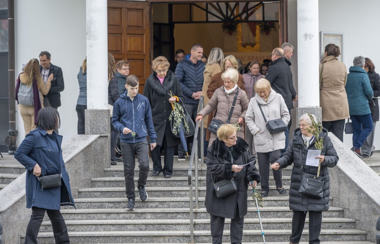 Cvjetnica 2903 (26) Cvjetnica 2903 (26)