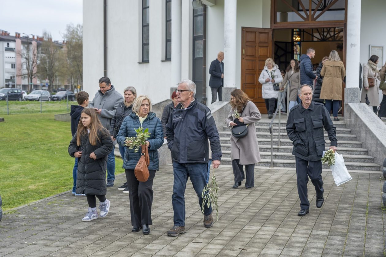 Cvjetnica 2903 (28) Cvjetnica 2903 (28)