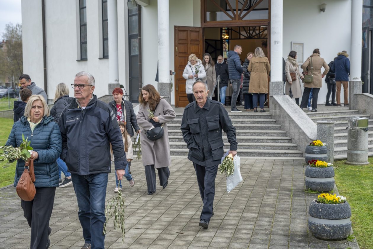 Cvjetnica 2903 (29) Cvjetnica 2903 (29)