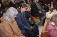 Cvjetnica 2903 (3) Cvjetnica 2903 (3)