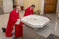 Cvjetnica 2903 (4) Cvjetnica 2903 (4)