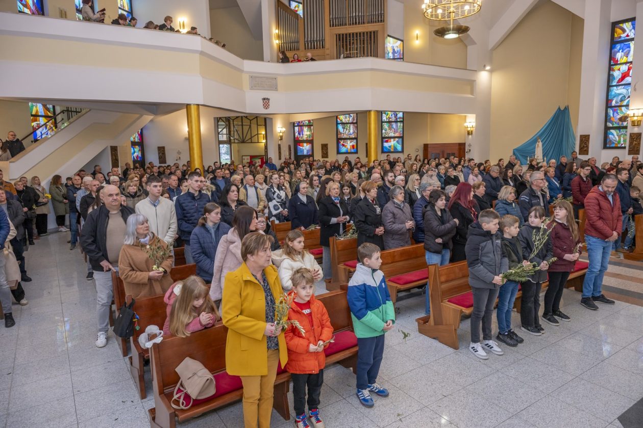 Cvjetnica 2903 (6) Cvjetnica 2903 (6)