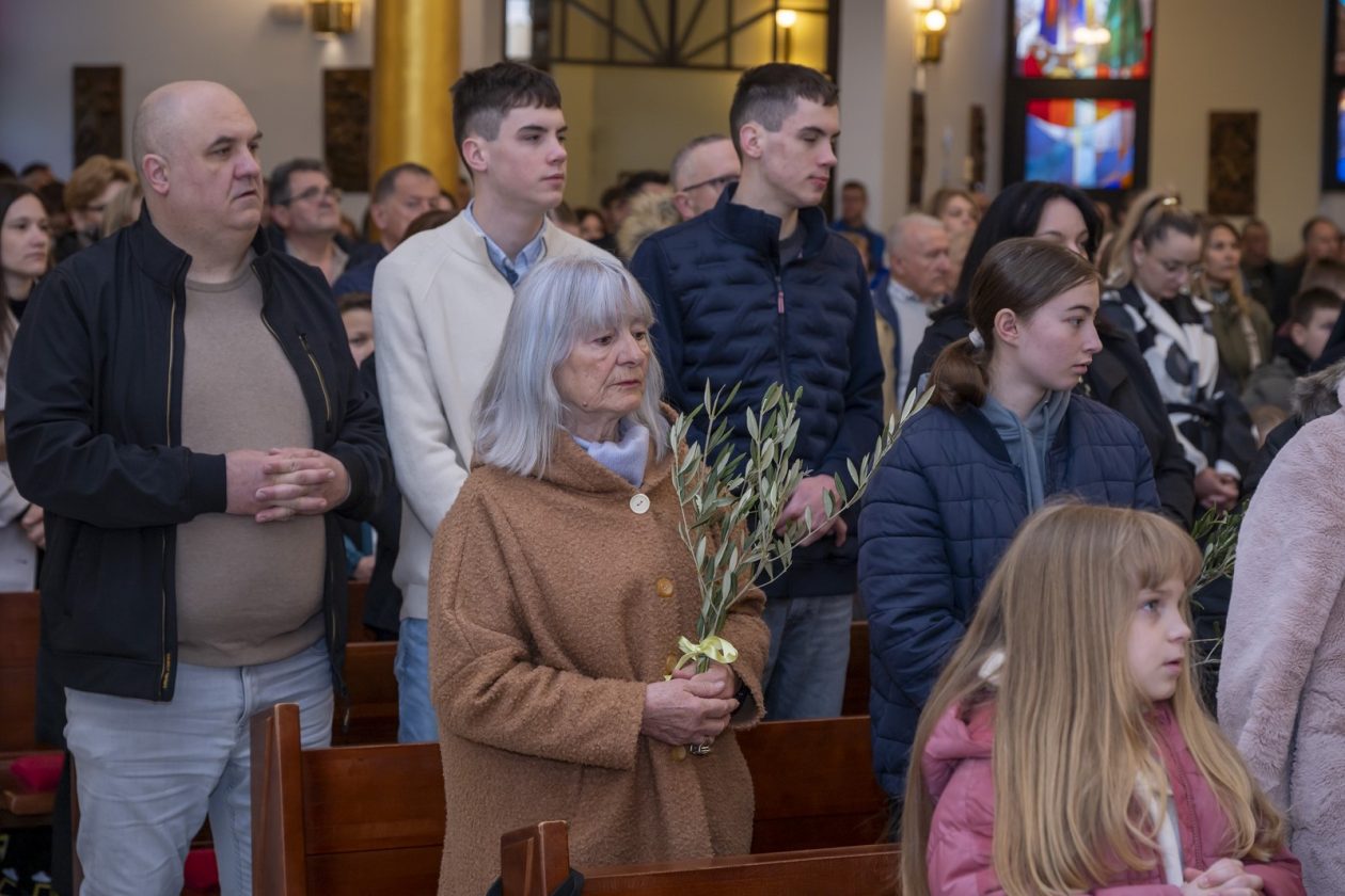 Cvjetnica 2903 (7) Cvjetnica 2903 (7)