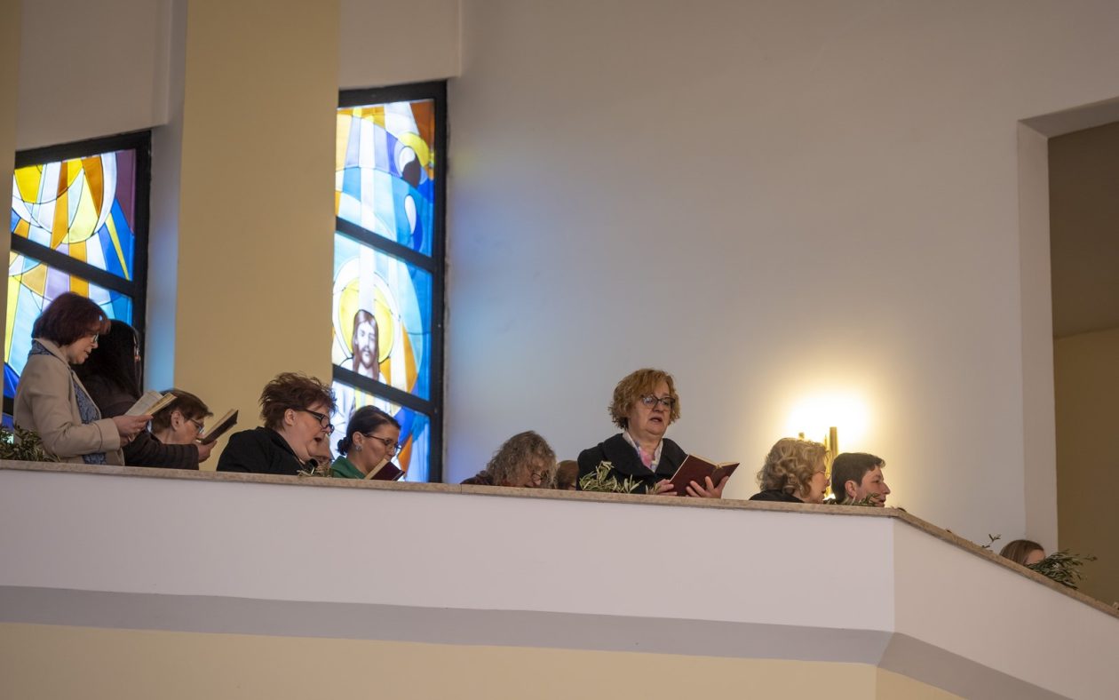 Cvjetnica 2903 (8) Cvjetnica 2903 (8)