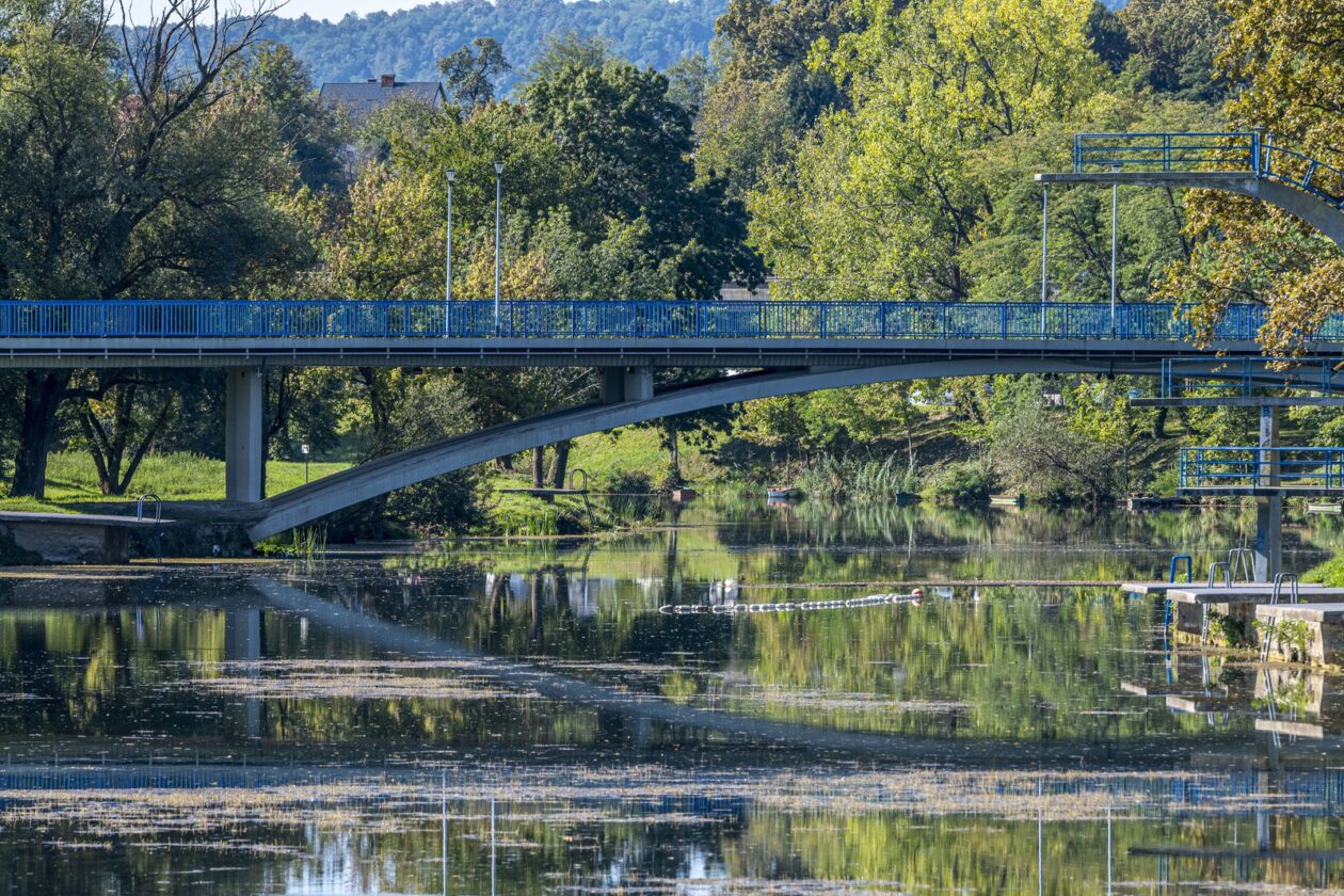 DSC_3502_1 DSC_3502_1