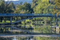 DSC_3502_1 DSC_3502_1