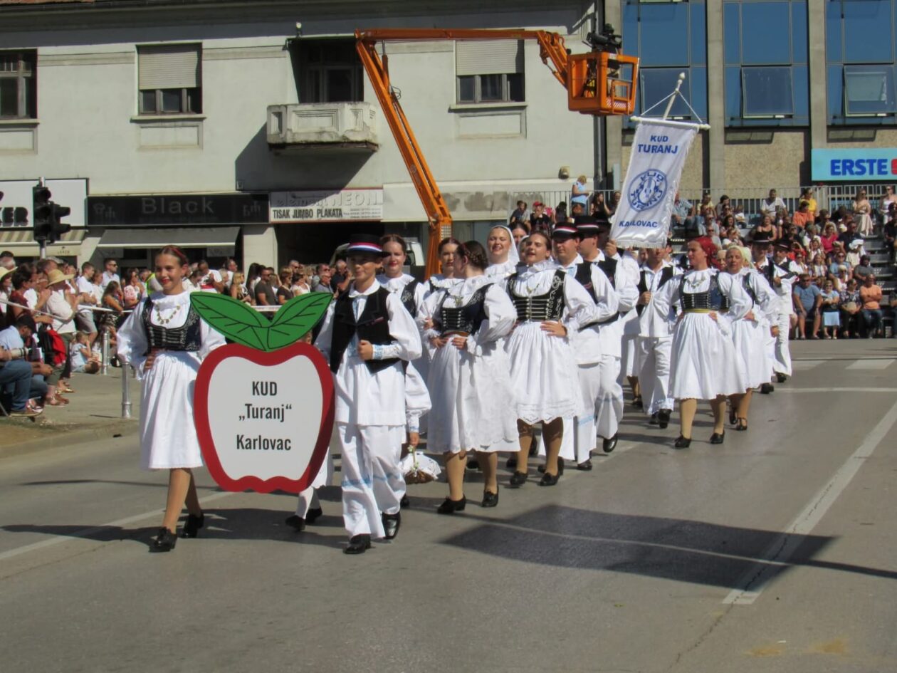 IMG-9a46a72b6c3714466a6b1302c82155d9-V IMG-9a46a72b6c3714466a6b1302c82155d9-V