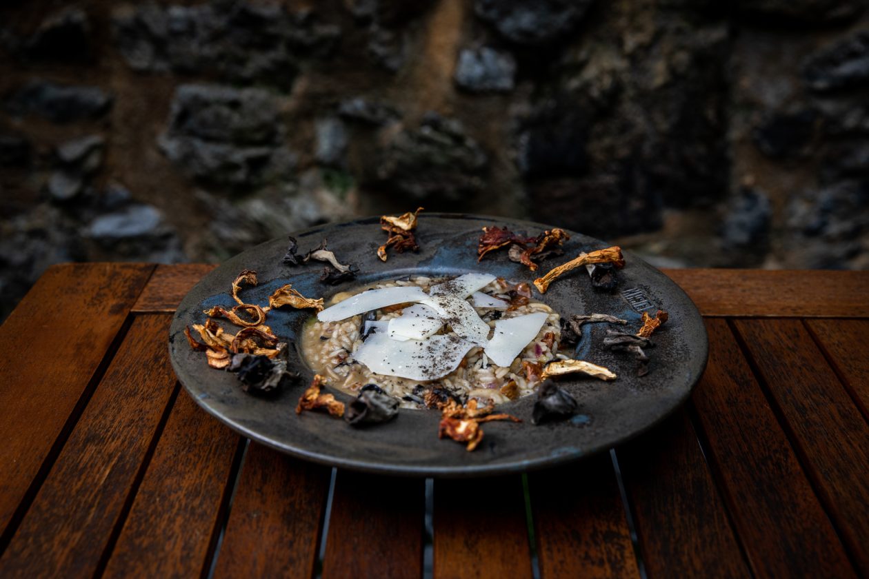 IzvanFokusa-1614- Rižoto sa šumskim gljivama